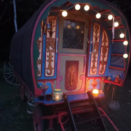 شقة Git'An Perigord La Bohemienne Groléjac المظهر الخارجي الصورة