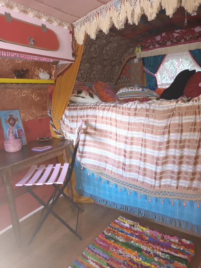شقة Git'An Perigord La Bohemienne Groléjac المظهر الخارجي الصورة
